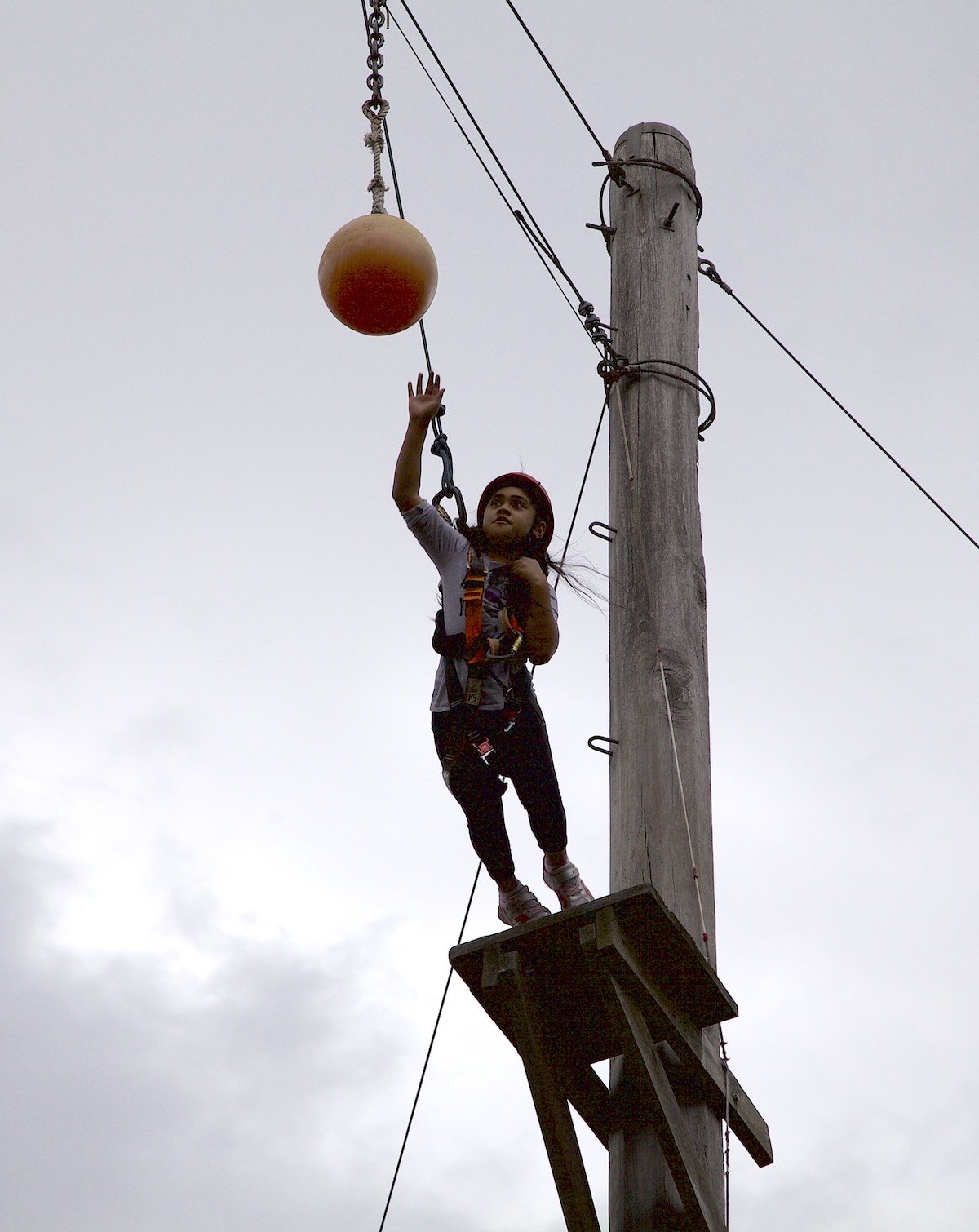 /uploaded_files/media/gallery/1500606415IMG_6378 copy.jpg